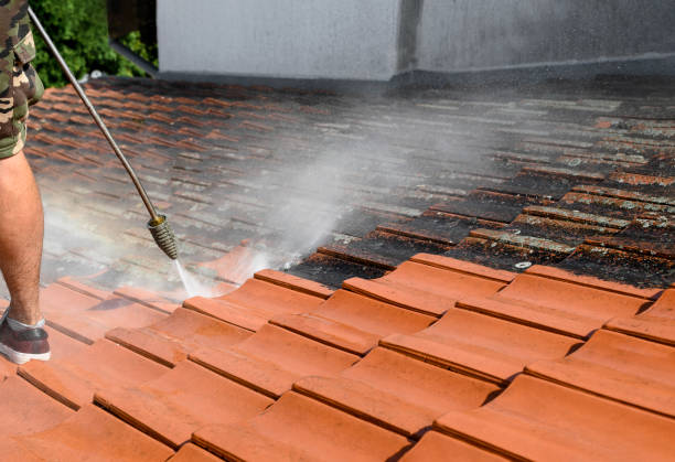 Best Sidewalk Pressure Washing  in Roberta, GA