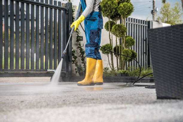 Professional Pressure Washing in Roberta, GA