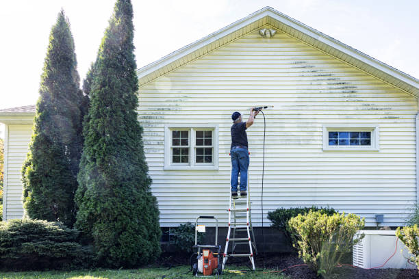 Best Residential Pressure Washing Services  in Roberta, GA