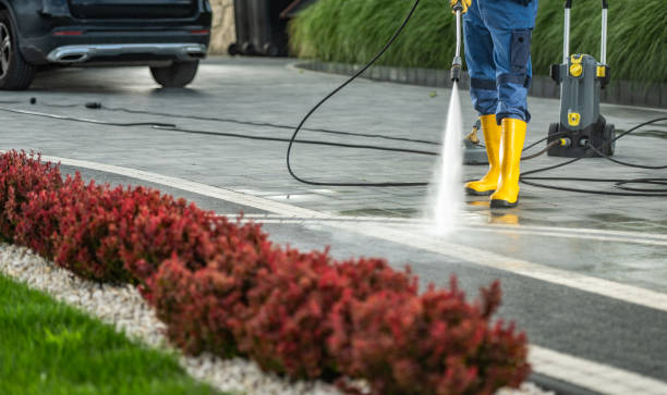 Best Pressure Washing Near Me  in Roberta, GA