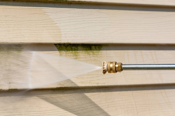 Best Pressure Washing Patio  in Roberta, GA